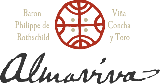 logo-185815-almaviva