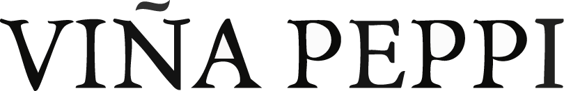 logo-144846-surko