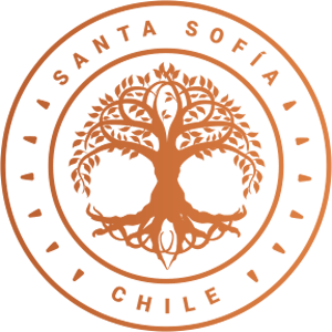 logo-1484-single-vineyard-rose
