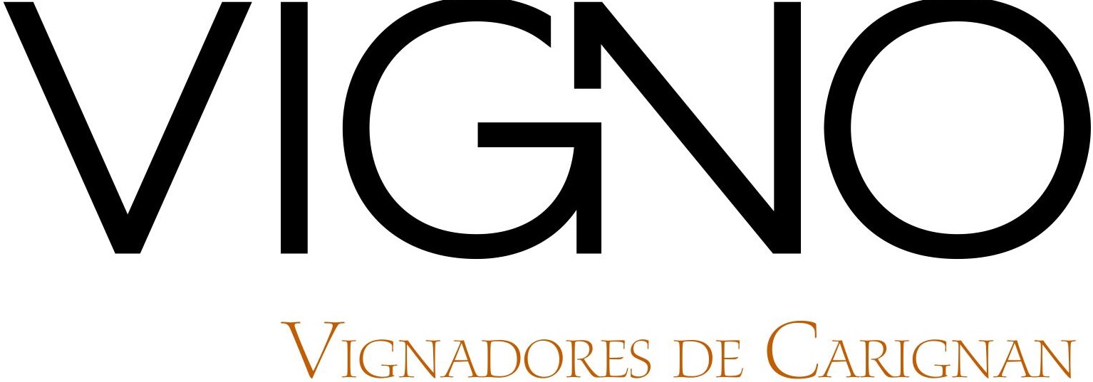 logo-145232-vigno-bodegas-re