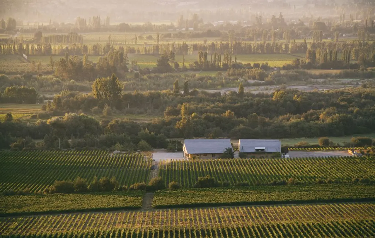Viñedos Orgánicos Emiliana