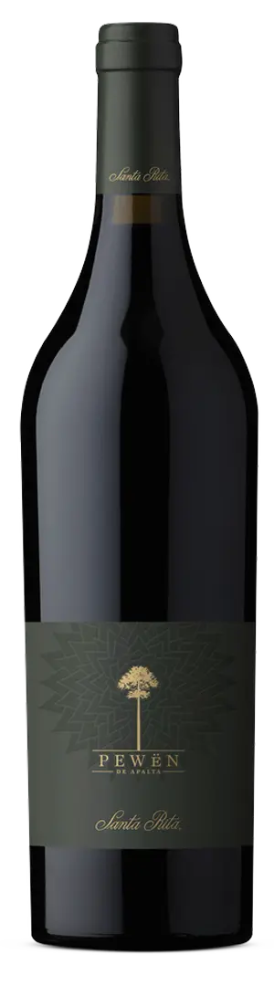 Pewën de Apalta