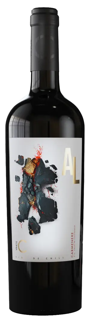 Vinos C PP