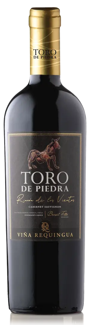 Rincón de los Vientos Cab. Sauvignon
