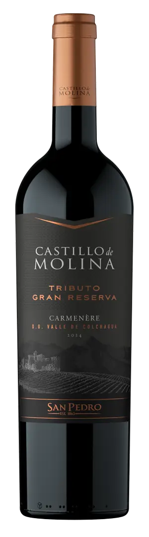 Castillo de Molina Tributo Gran Reserva Carmenere