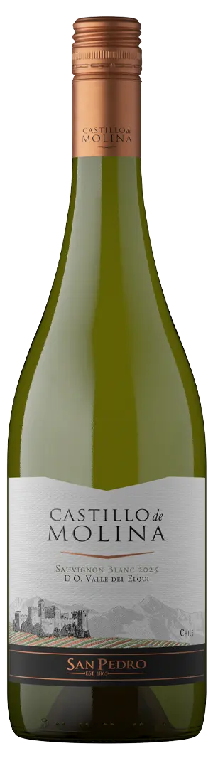 Castillo de Molina Gran Reserva Sauvignon Blanc