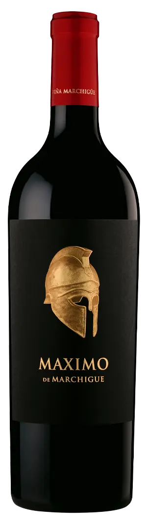 Maximo de Marchigue