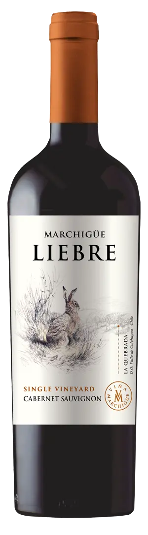 Marchigue Liebre