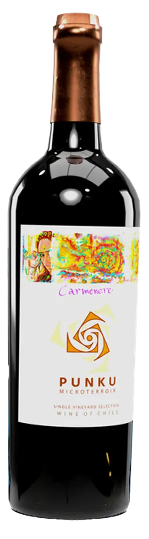 Punku Microterroir Almahue Carmenere