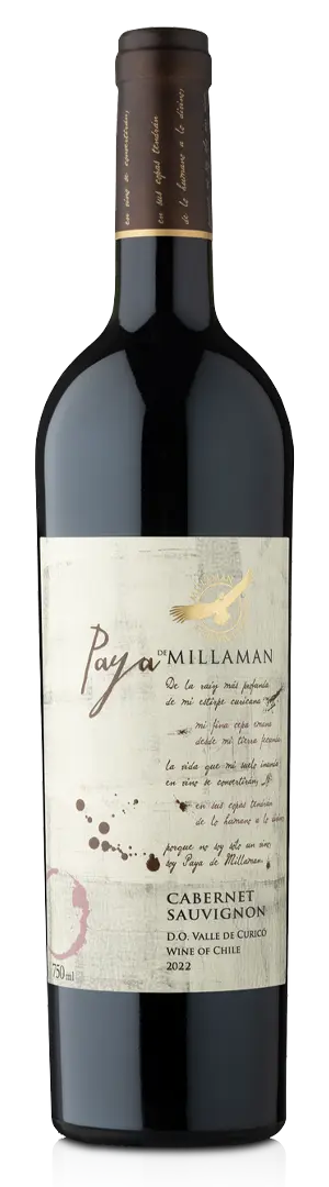 Paya Cabernet sauvignon