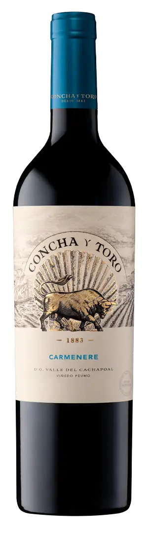 Concha y Toro